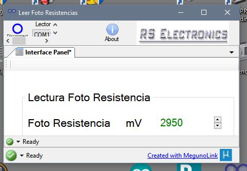 Panel size resized and not showing all